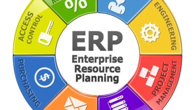 ERP consultants