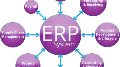 erp selection process