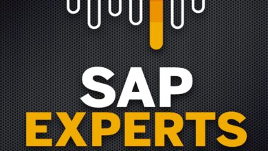 sap erp